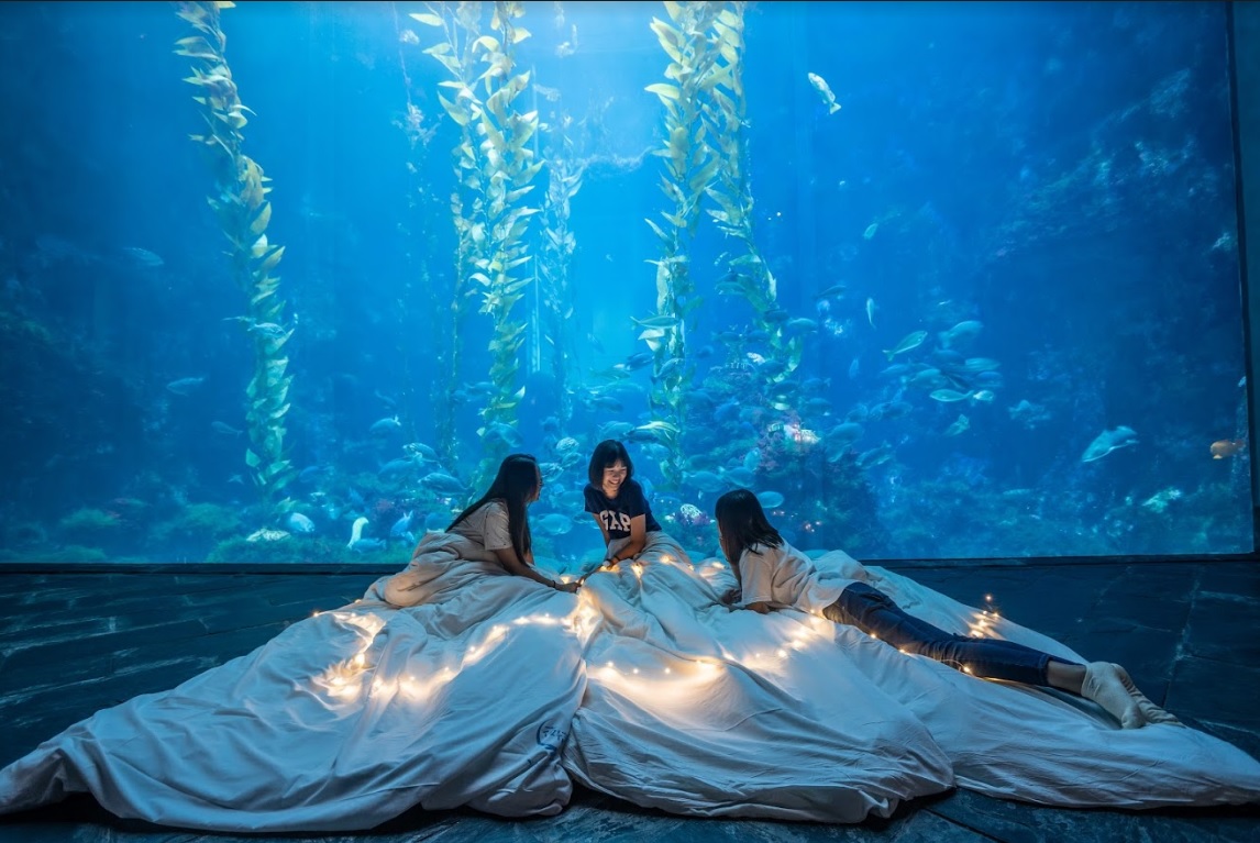 【屏東】夜宿海生館 (海洋生物博物館)
