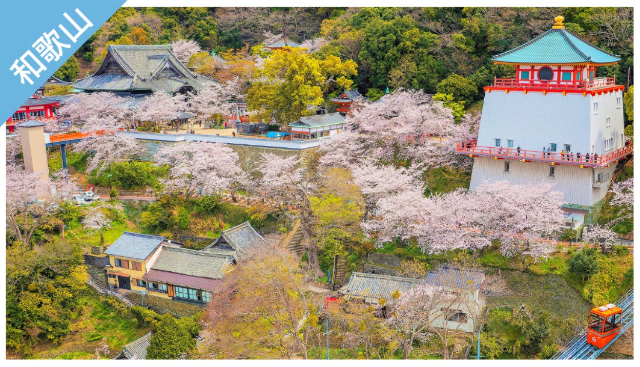 ▼ 和歌山樂享周遊券。紀三井寺 特別參觀券