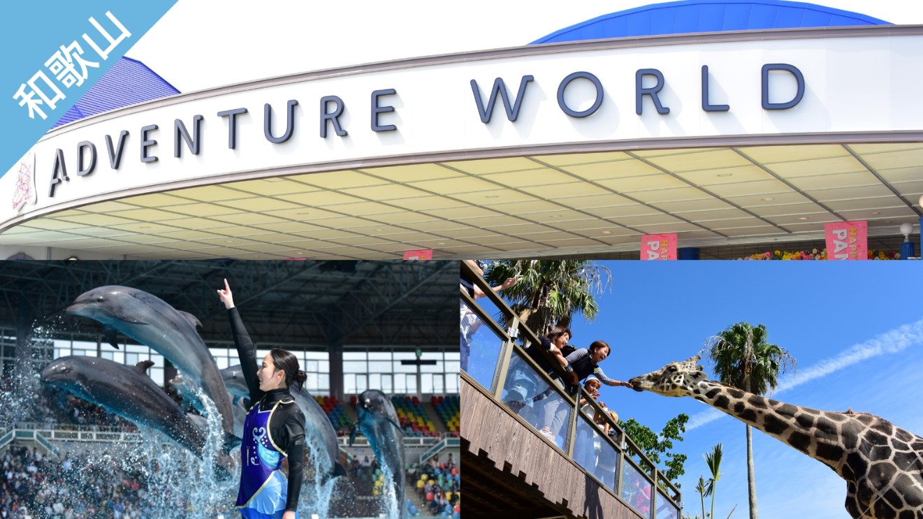 ▼ 和歌山樂享周遊券。動物遊樂園 冒險大世界 1日入場券