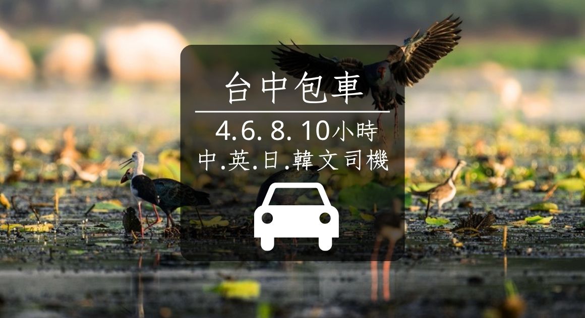 【台中包車】4-10小時｜中.英.日.韓語司機｜清境.日月潭.溪頭等