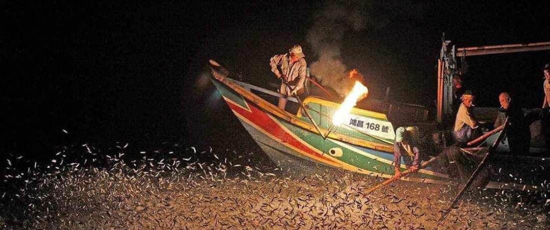 【基隆】金山磺火季。觀賞蹦火仔捕魚體驗 (碧砂漁港出發)